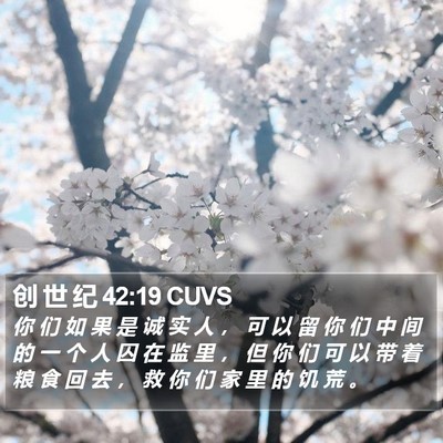 创 世 纪 42:19 CUVS Bible Verse Image
