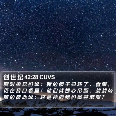 创 世 纪 42:28 CUVS Bible Verse Image