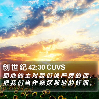创 世 纪 42:30 CUVS Bible Verse Image
