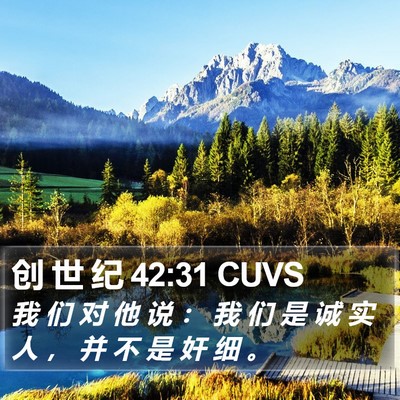 创 世 纪 42:31 CUVS Bible Verse Image