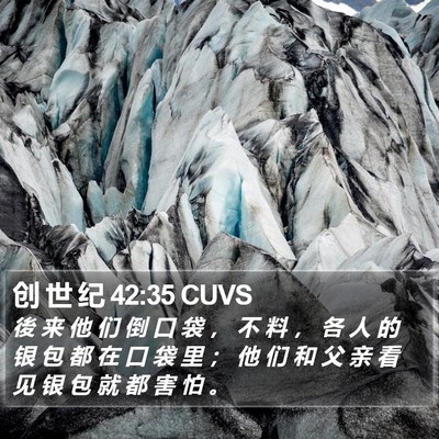 创 世 纪 42:35 CUVS Bible Verse Image