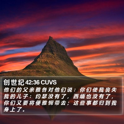 创 世 纪 42:36 CUVS Bible Verse Image