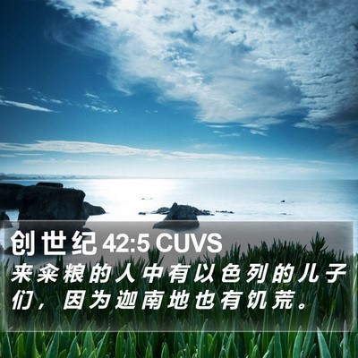 创 世 纪 42:5 CUVS Bible Verse Image