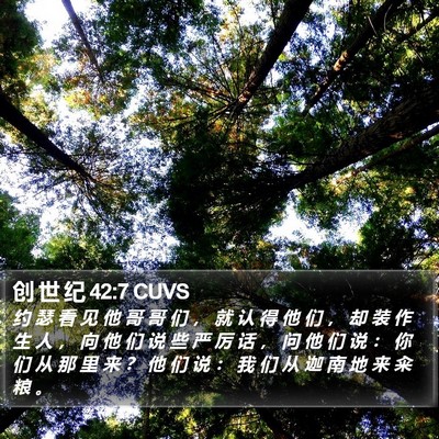 创 世 纪 42:7 CUVS Bible Verse Image