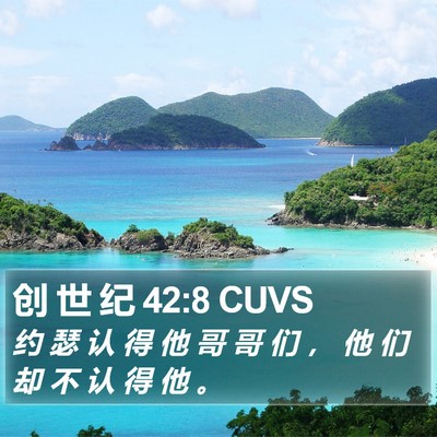 创 世 纪 42:8 CUVS Bible Verse Image