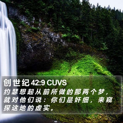 创 世 纪 42:9 CUVS Bible Verse Image