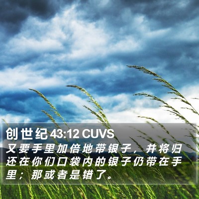 创 世 纪 43:12 CUVS Bible Verse Image