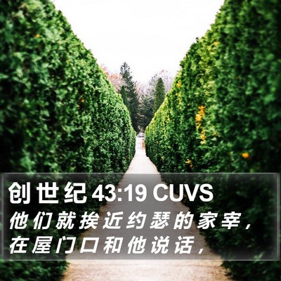 创 世 纪 43:19 CUVS Bible Verse Image