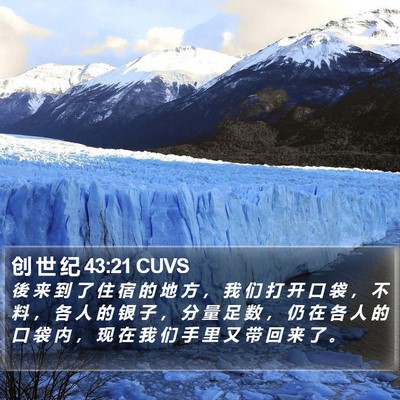创 世 纪 43:21 CUVS Bible Verse Image