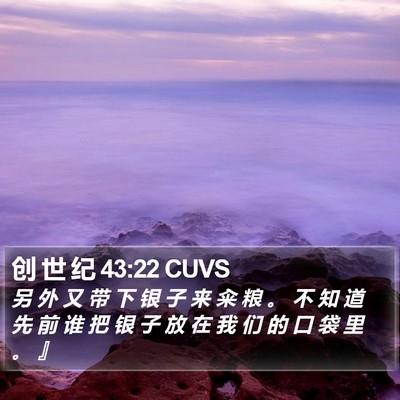 创 世 纪 43:22 CUVS Bible Verse Image
