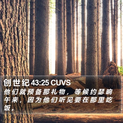创 世 纪 43:25 CUVS Bible Verse Image