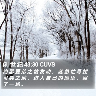 创 世 纪 43:30 CUVS Bible Verse Image