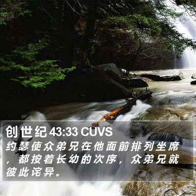 创 世 纪 43:33 CUVS Bible Verse Image