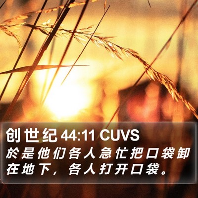 创 世 纪 44:11 CUVS Bible Verse Image
