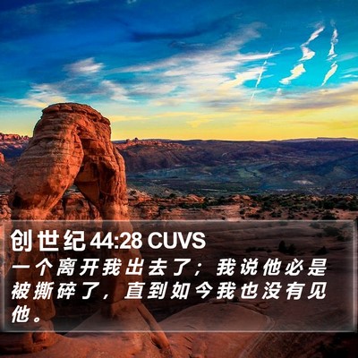 创 世 纪 44:28 CUVS Bible Verse Image