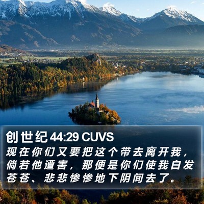 创 世 纪 44:29 CUVS Bible Verse Image
