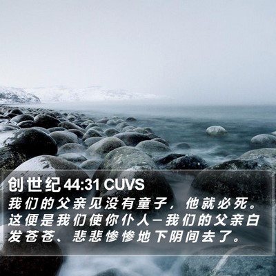 创 世 纪 44:31 CUVS Bible Verse Image