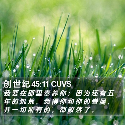 创 世 纪 45:11 CUVS Bible Verse Image