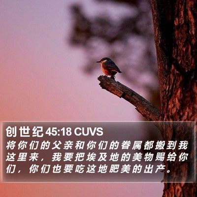 创 世 纪 45:18 CUVS Bible Verse Image