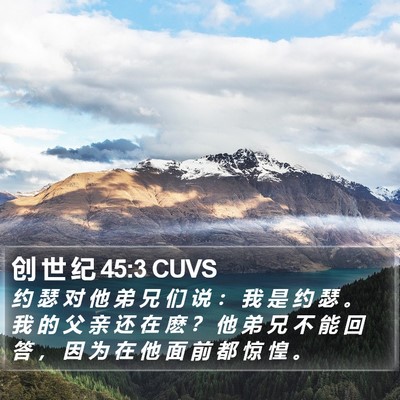 创 世 纪 45:3 CUVS Bible Verse Image