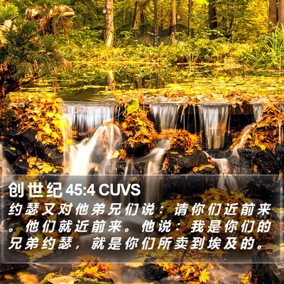 创 世 纪 45:4 CUVS Bible Verse Image