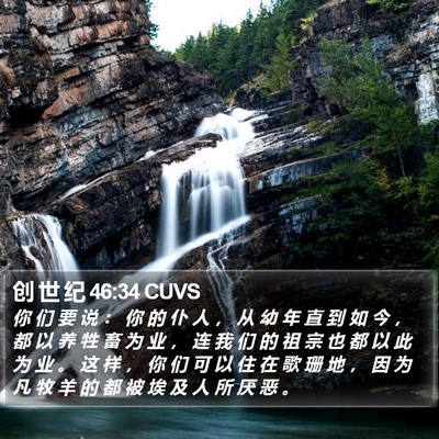 创 世 纪 46:34 CUVS Bible Verse Image