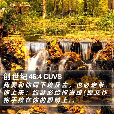 创 世 纪 46:4 CUVS Bible Verse Image