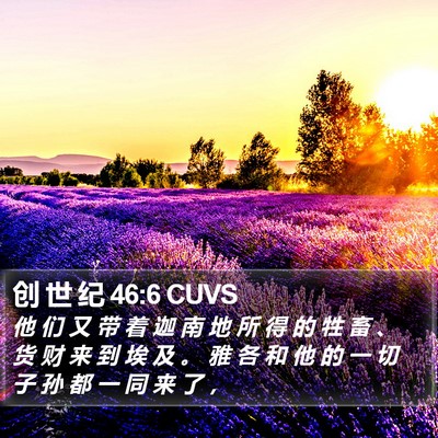 创 世 纪 46:6 CUVS Bible Verse Image