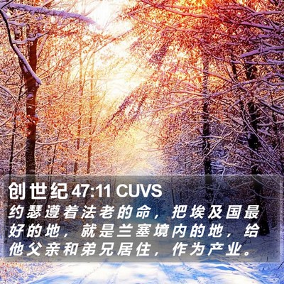 创 世 纪 47:11 CUVS Bible Verse Image