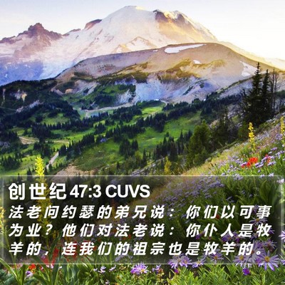 创 世 纪 47:3 CUVS Bible Verse Image