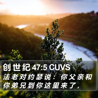创 世 纪 47:5 CUVS Bible Verse Image