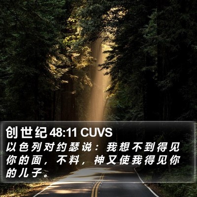 创 世 纪 48:11 CUVS Bible Verse Image