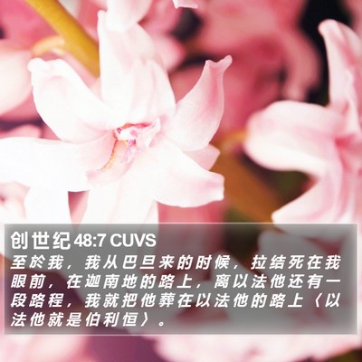 创 世 纪 48:7 CUVS Bible Verse Image