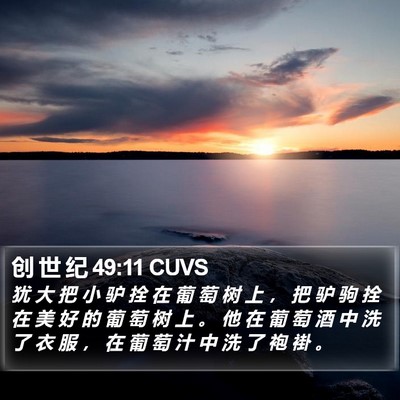 创 世 纪 49:11 CUVS Bible Verse Image