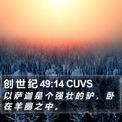 创 世 纪 49:14 CUVS Bible Verse Image