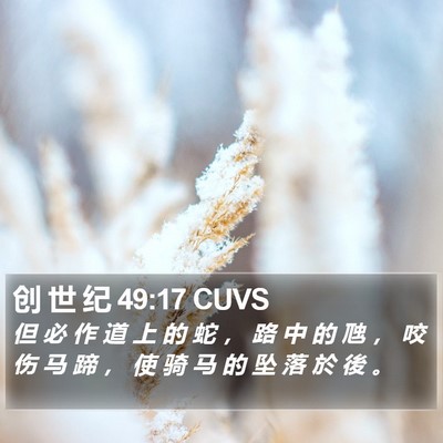 创 世 纪 49:17 CUVS Bible Verse Image