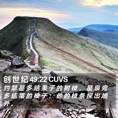 创 世 纪 49:22 CUVS Bible Verse Image