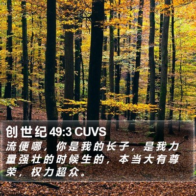 创 世 纪 49:3 CUVS Bible Verse Image