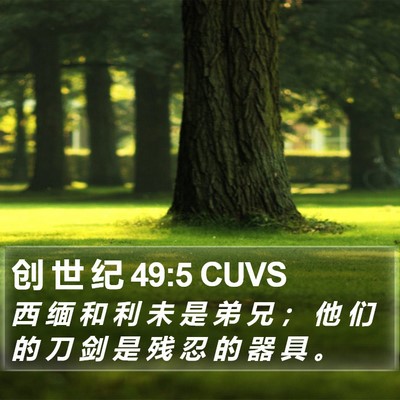 创 世 纪 49:5 CUVS Bible Verse Image