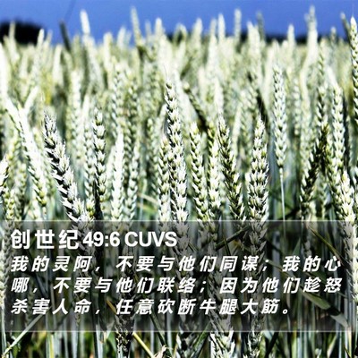 创 世 纪 49:6 CUVS Bible Verse Image
