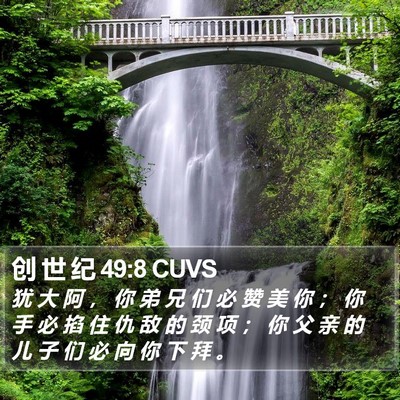 创 世 纪 49:8 CUVS Bible Verse Image