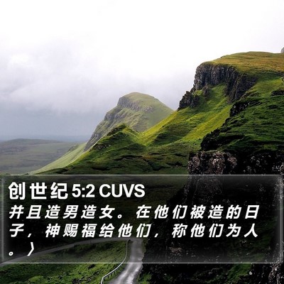 创 世 纪 5:2 CUVS Bible Verse Image