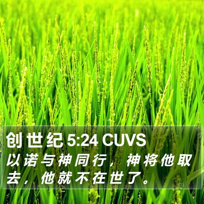 创 世 纪 5:24 CUVS Bible Verse Image