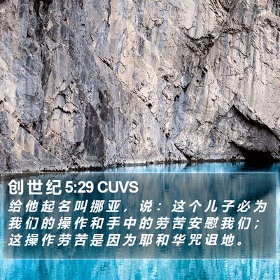 创 世 纪 5:29 CUVS Bible Verse Image