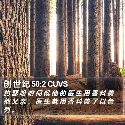 创 世 纪 50:2 CUVS Bible Verse Image