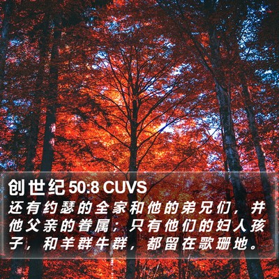 创 世 纪 50:8 CUVS Bible Verse Image