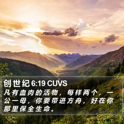 创 世 纪 6:19 CUVS Bible Verse Image