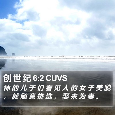 创 世 纪 6:2 CUVS Bible Verse Image
