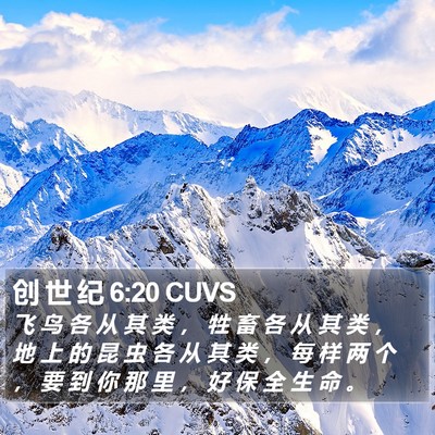 创 世 纪 6:20 CUVS Bible Verse Image