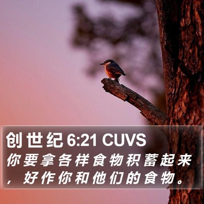 创 世 纪 6:21 CUVS Bible Verse Image